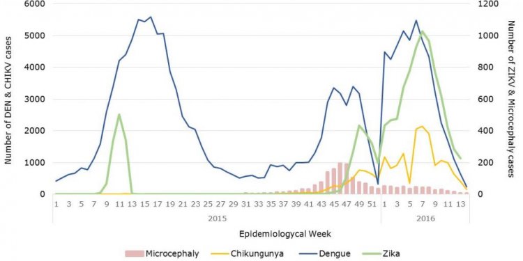 Weekly reported cases of