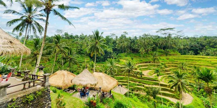 Brazil Travel Guides