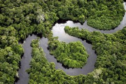 Amazon River (flickr/leoffreitas)