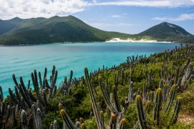 PADI’s Summer Divelympics 2016