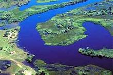 The Pantanal Wetlands in Brazil