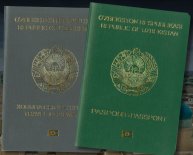 Brazil passport application
