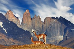 Torres del Paine National Park, Patagonia, Chile